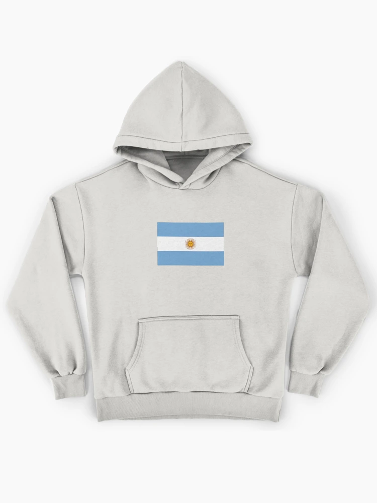 Imagen 1 de 6, Sudadera con capucha oversize prémium con la obra Bandera argentina, diseñada y vendida por Flags & Cie.