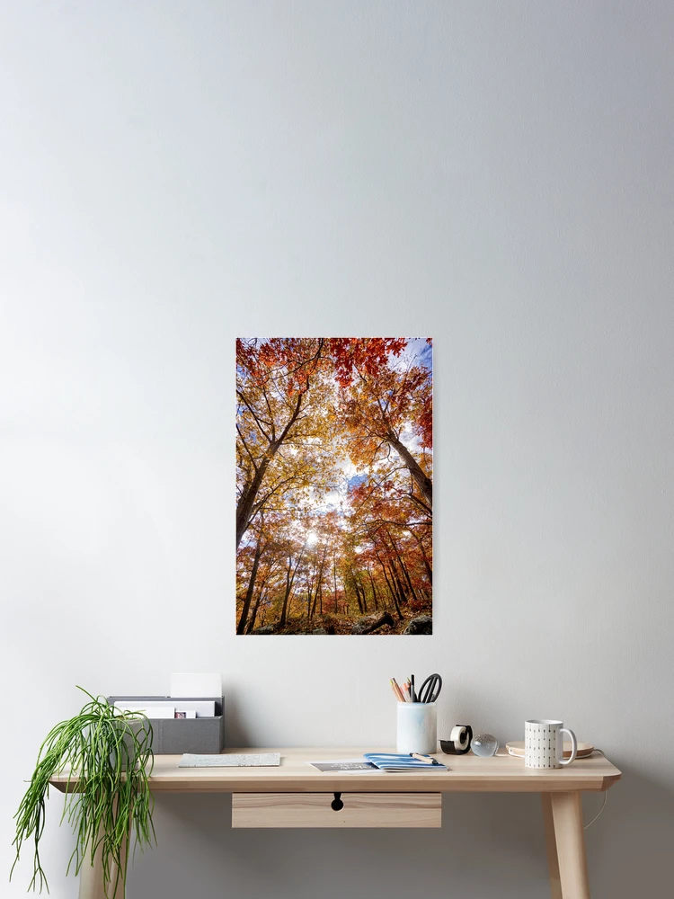 Thumbnail 2 of 3, Poster, Foliage designed and sold by VickyGood.