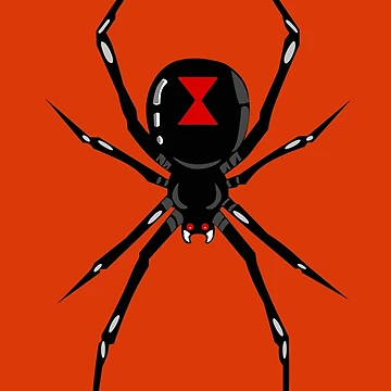 Artwork thumbnail, Black widow spider by Richard Holloway