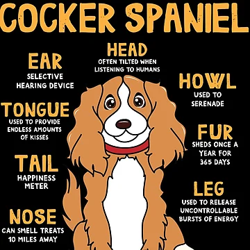 Vorschaubild zum Design Anatomy of Cocker Spaniel Dog von rafaeltto