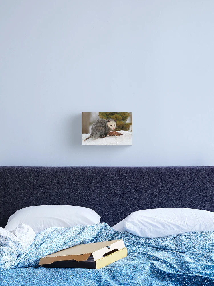 Thumbnail 2 of 3, Canvas Print, Opossum designed and sold by Karol Livote.