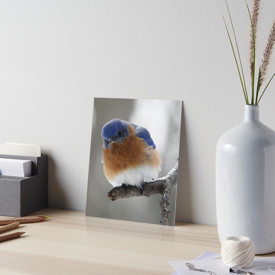 Item preview, Art Board Print designed and sold by Enola Gay Wagner.