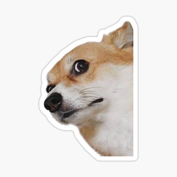 Aperçu de l'œuvre visage de corgi créée et vendue par madelinepaul99.