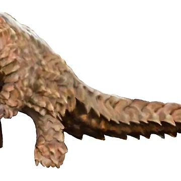 Artwork thumbnail, Pangolin by Janine Smith