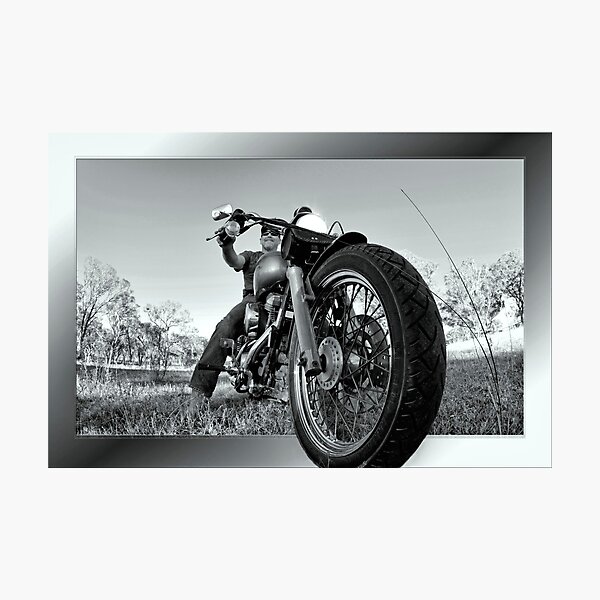 Artikelvorschau, Harley entworfen und verkauft von Kym Howard.