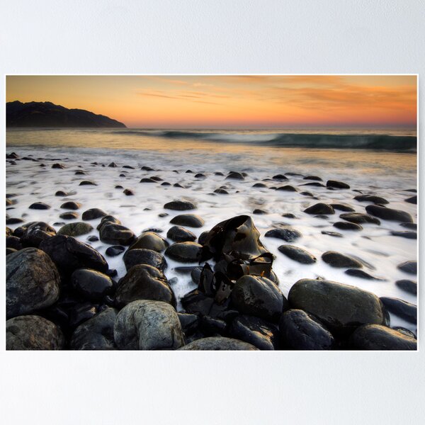 Item preview, Kaikoura Kelp designed and sold by Michael Treloar.
