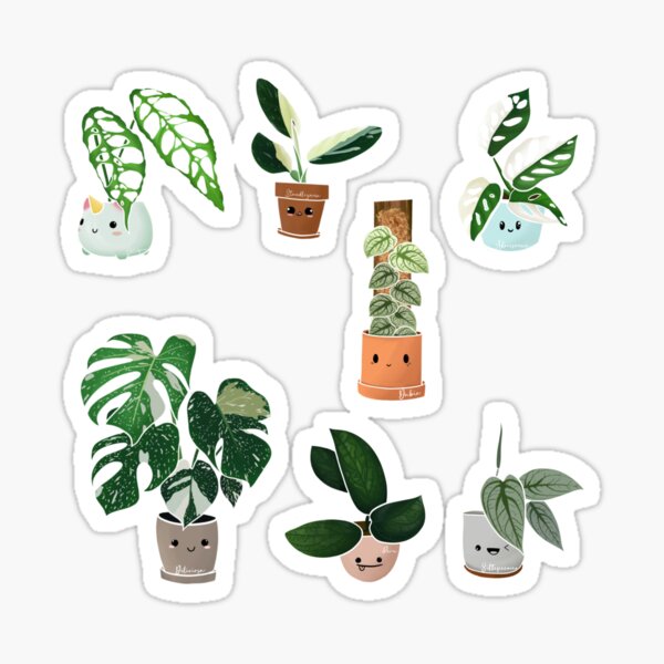 Artikelvorschau, Monstera-Aufkleber entworfen und verkauft von GelsGarden.