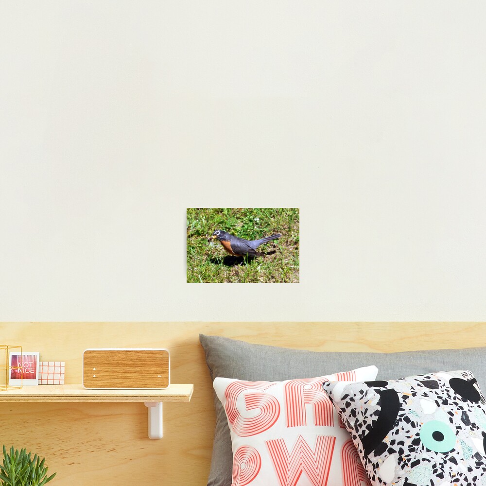 Item preview, Photographic Print designed and sold by LavenderMoon.