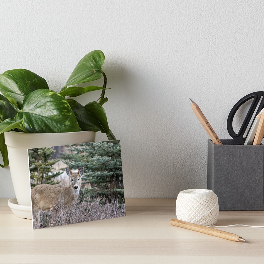 Item preview, Art Board Print designed and sold by CanadianWild418.