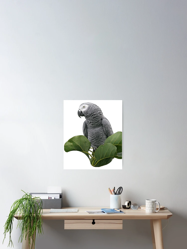 Thumbnail 2 of 3, Poster, African Grey Parrot designed and sold by Teesigned.