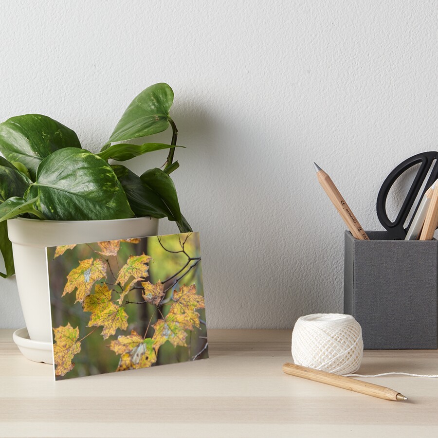 Item preview, Art Board Print designed and sold by jvnimages.