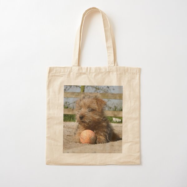 Item preview,  la Norfolk Terrier ocupada con su desgarrada pelota en el polvoriento corral, todo sin importarle nada en el mundo.

Sony DSC-HX1

! http: //i617.photobucket.com/albums/tt251/bonita777/PAWTENDONE.jpg!

! http: //ih1.redbubble.net/work.7221107.1.fp designed and sold by Barrie Woodward.