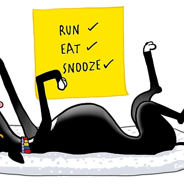 Imagen de la obra Snoozin & # 39; de RichSkipworth