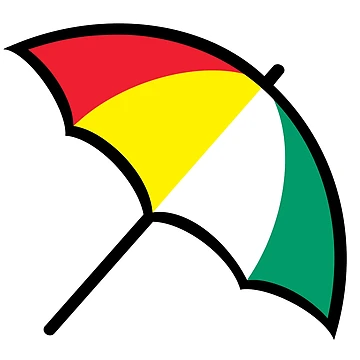 Aperçu de l'œuvre Parapluie Palmer de Ashley Banks