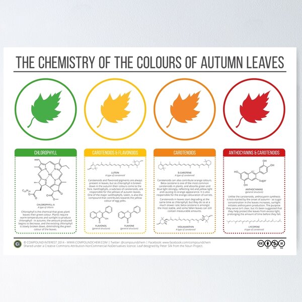 Aperçu de l'œuvre Chimie des feuilles d'automne créée et vendue par compoundchem.