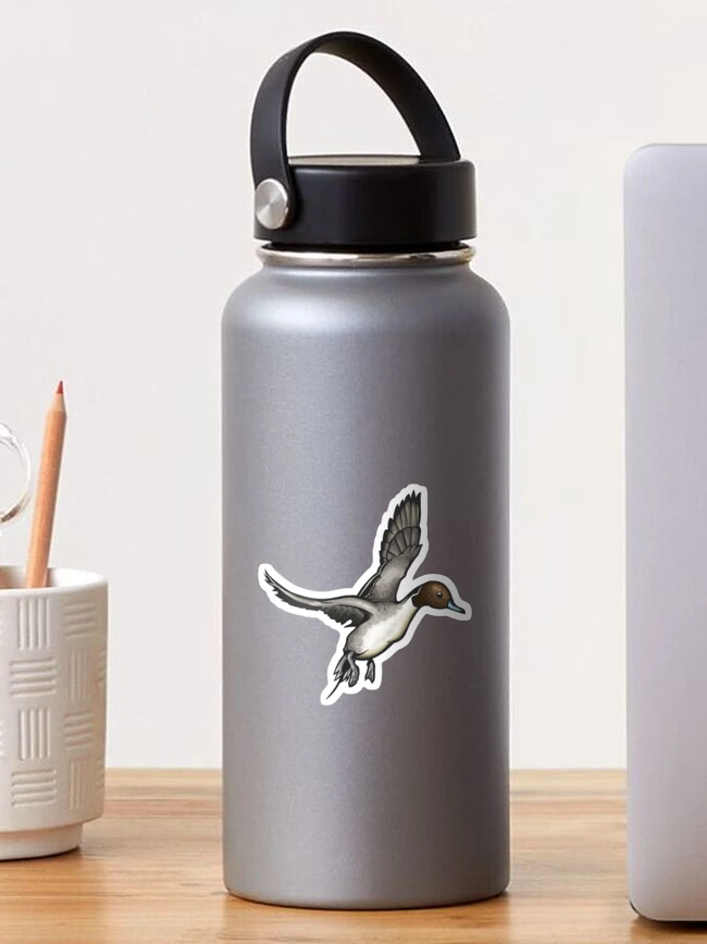 Thumbnail 1 of 3, Sticker, Northern Pintail designed and sold by Eambo's Cave.