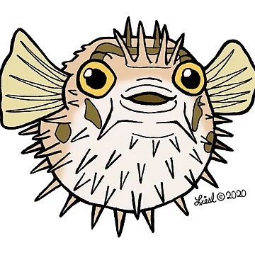 Artwork thumbnail, Balloonfish by sharkbait83
