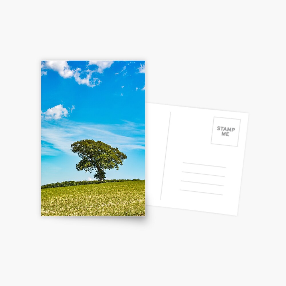 Item preview, Postcard designed and sold by TheArtChappy.