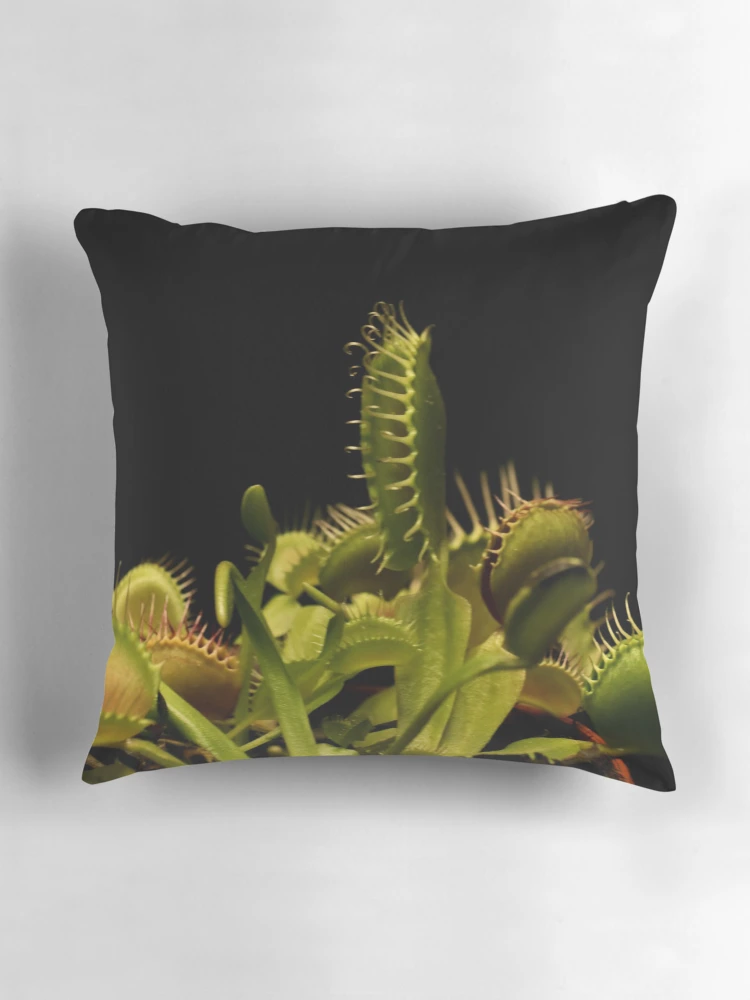 Thumbnail 3 of 4, Pillow, Venus Fly Trap - Carnivorous Plant designed and sold by LCAppling.