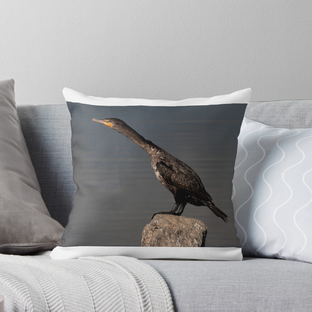 Item preview, Throw Pillow designed and sold by James Cumming.