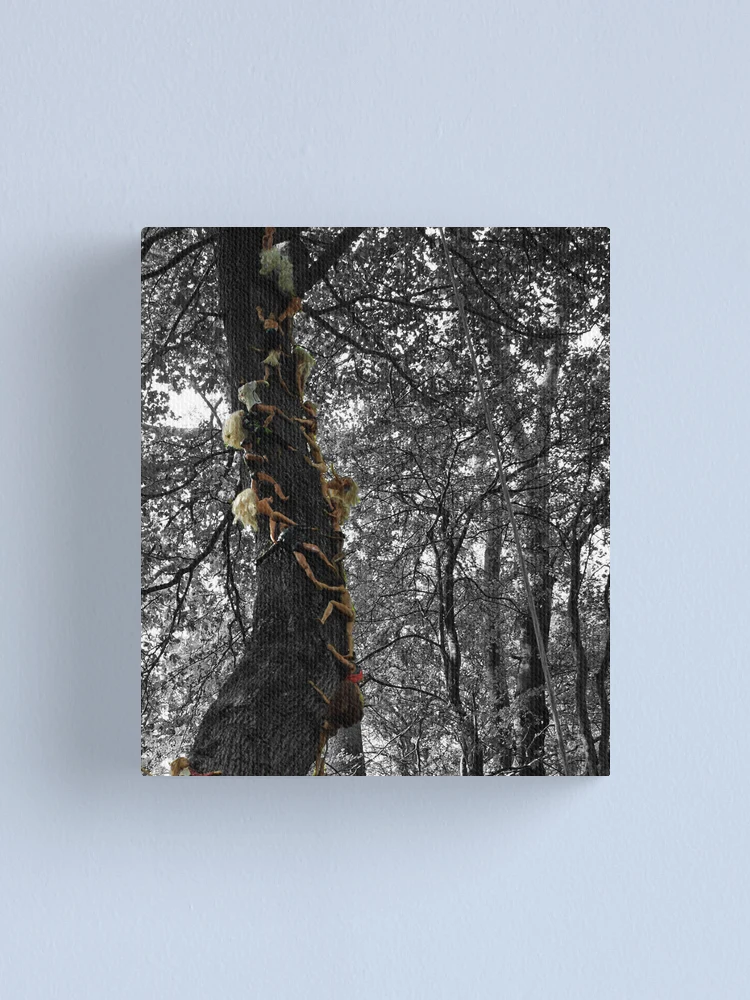 Thumbnail 1 of 3, Canvas Print, Play Time designed and sold by Sally Barnett.