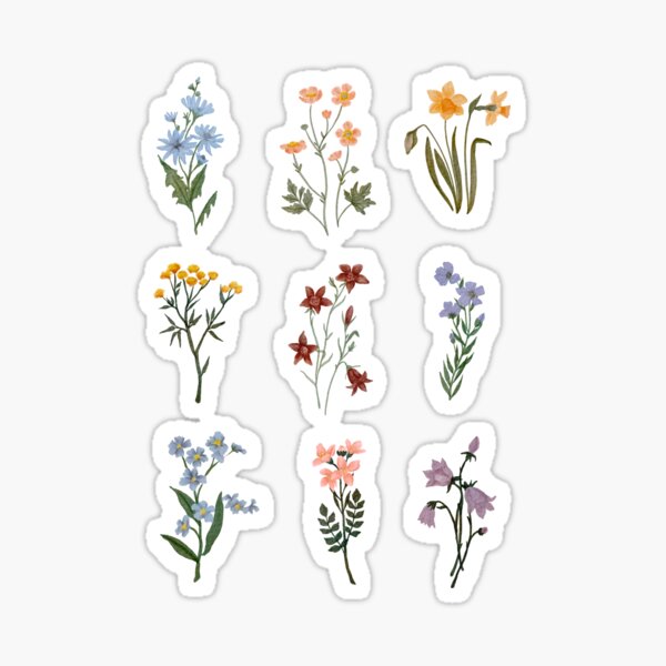 Aperçu de l'œuvre Fleurs sauvages aquarelles créée et vendue par cait-shaw.