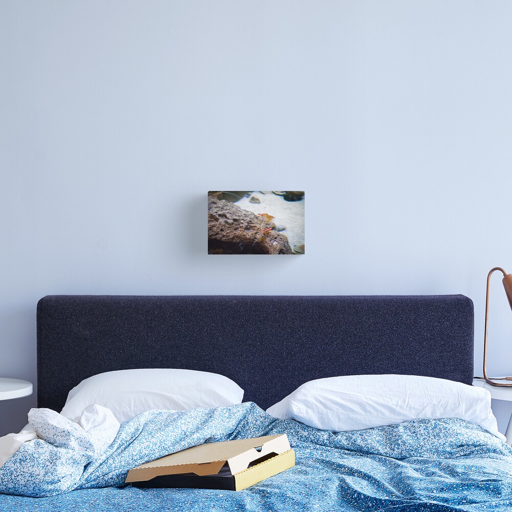 Item preview, Canvas Print designed and sold by Sivyer Photography.