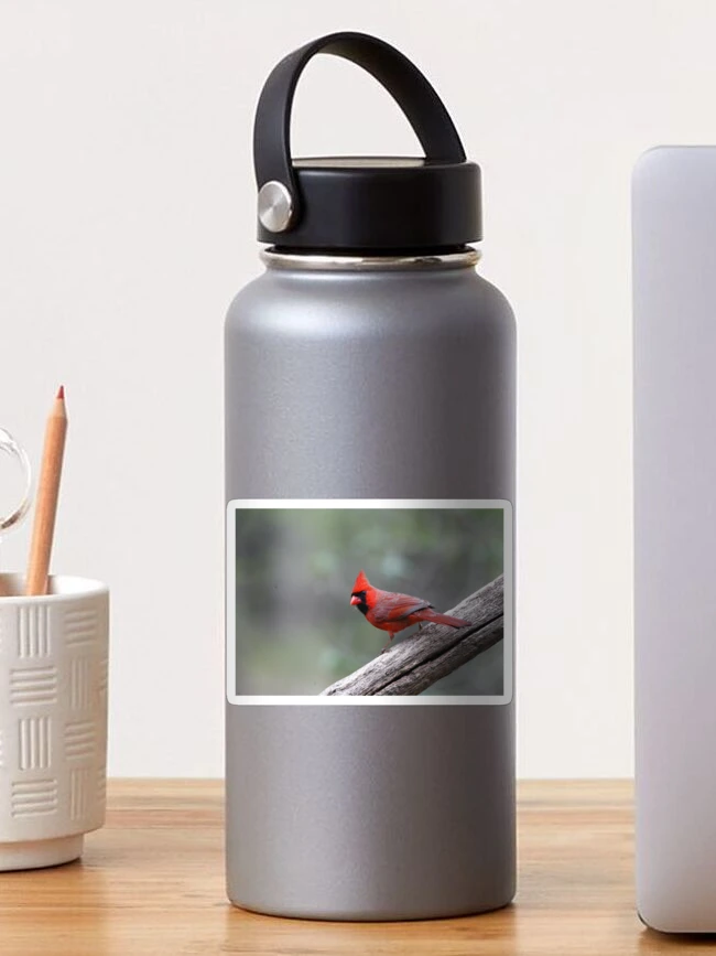 Thumbnail 1 of 3, Sticker, Northern Cardinal designed and sold by Enola Gay Wagner.