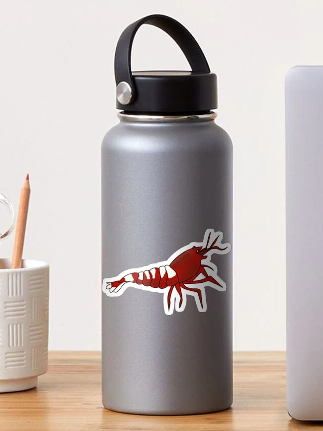 Thumbnail 1 of 3, Sticker, Red Pinto Shrimp designed and sold by Iyuda.