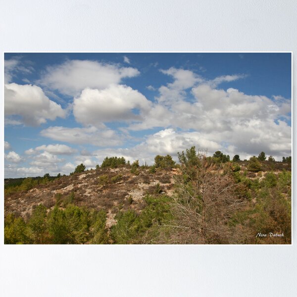 Aperçu de l'œuvre Clouds Touch the Hill créée et vendue par Nira Dabush.