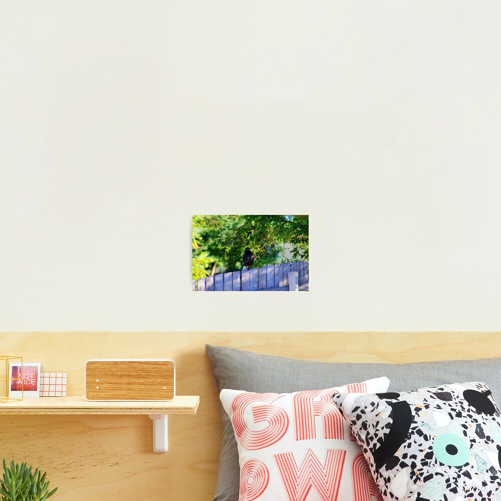 Item preview, Photographic Print designed and sold by peterhau.