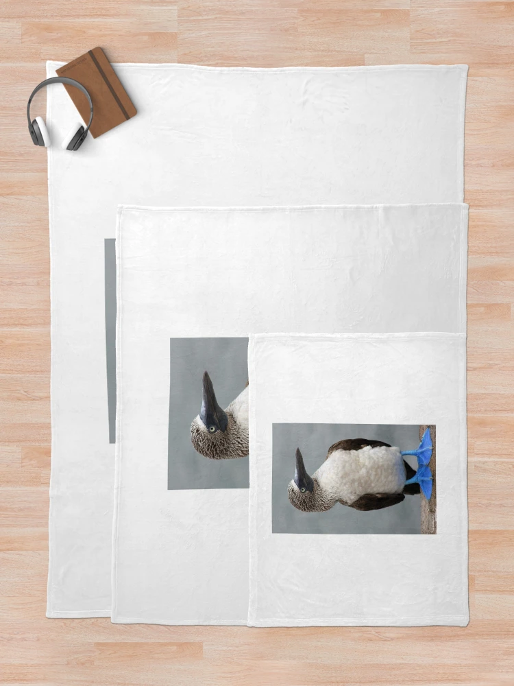 Thumbnail 5 of 6, Throw Blanket, Blue Footed Booby designed and sold by Sue Cullumber.