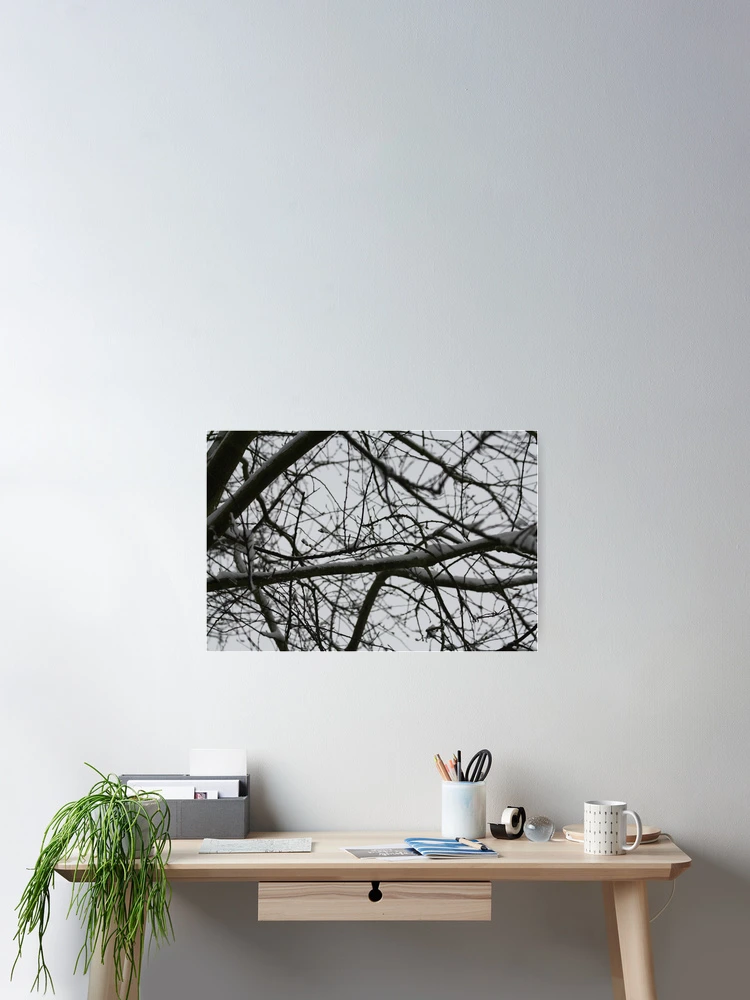 Thumbnail 2 of 3, Poster, Snowy Branches designed and sold by EmilyWednesday.
