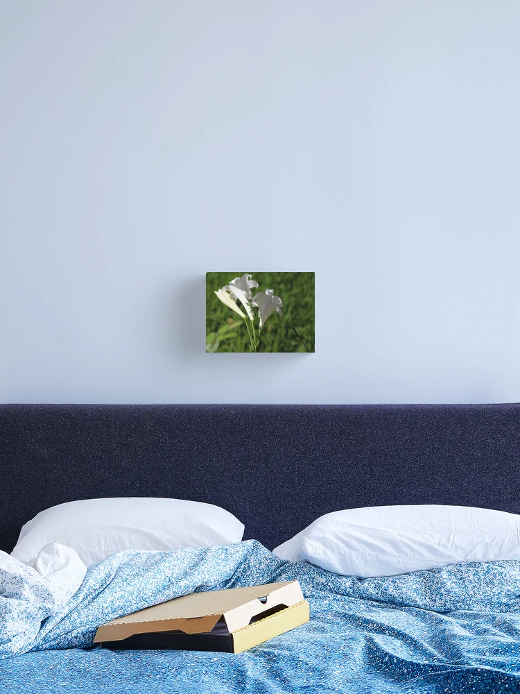 Thumbnail 2 of 3, Canvas Print, Lizard II designed and sold by Texas Enfocus Photography.