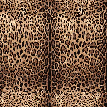 Artwork thumbnail, Leopard Print Skin by MCMXCV-PROJECT