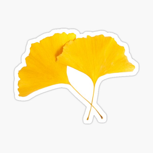 Aperçu de l'œuvre Gingko jaune doré créée et vendue par 3colors3.