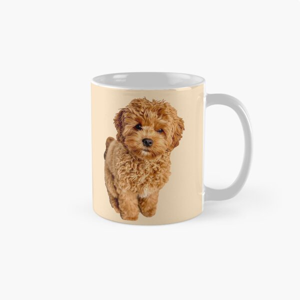 Aperçu de l'œuvre Cavapoo créée et vendue par thecavapootales.