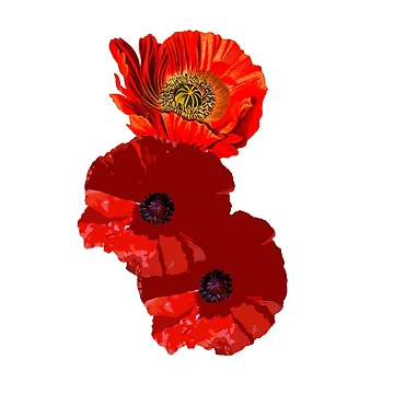 Artwork thumbnail, Rememberance day by DK-PODsolutions
