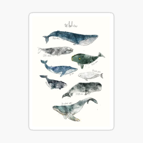 Item preview, Ballenas designed and sold by Amy Hamilton.