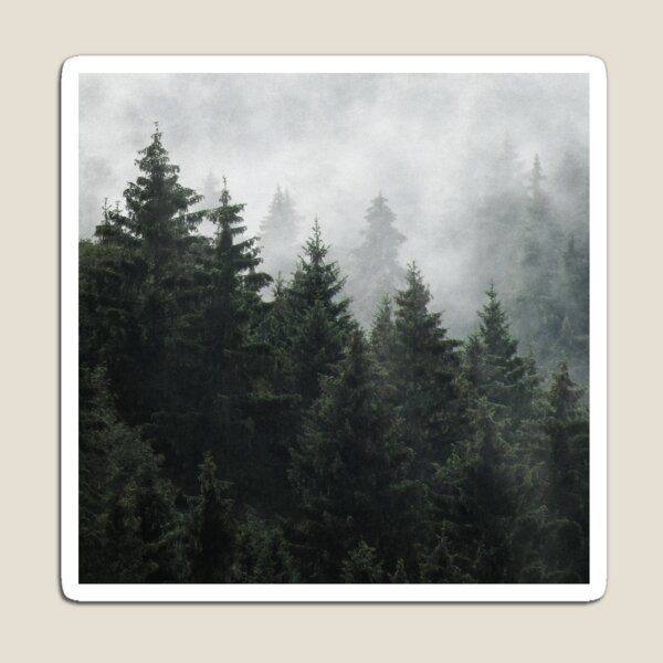 Artikelvorschau, Waiting For // Misty Foggy Fairytale Forest With Cascadia Trees Covered In Magic Fog entworfen und verkauft von Tordis Kayma.