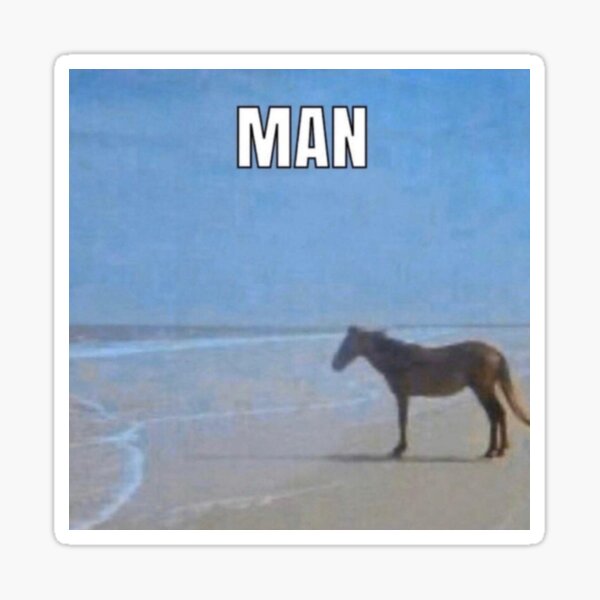 Aperçu de l'œuvre cheval au bord de l'océan 'man' meme créée et vendue par catalunar.