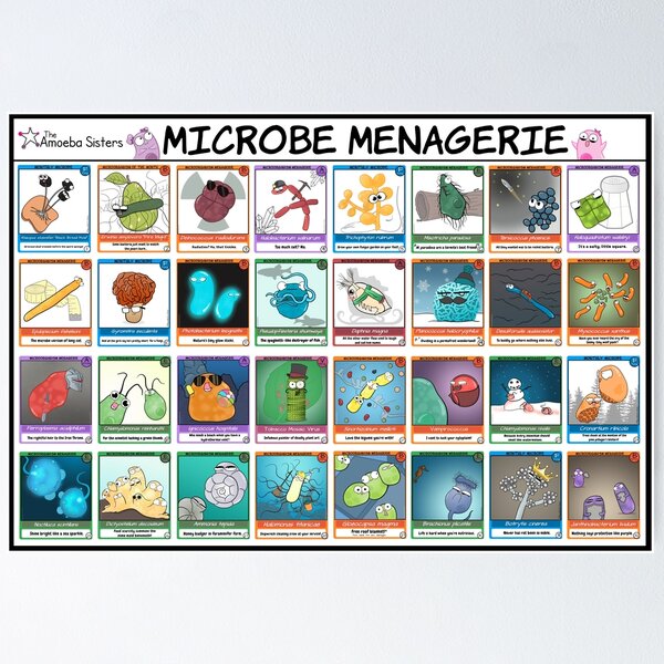 Artikelvorschau, Microbe Menagerie Sammelkarten entworfen und verkauft von The Amoeba Sisters Official Merch Shop.
