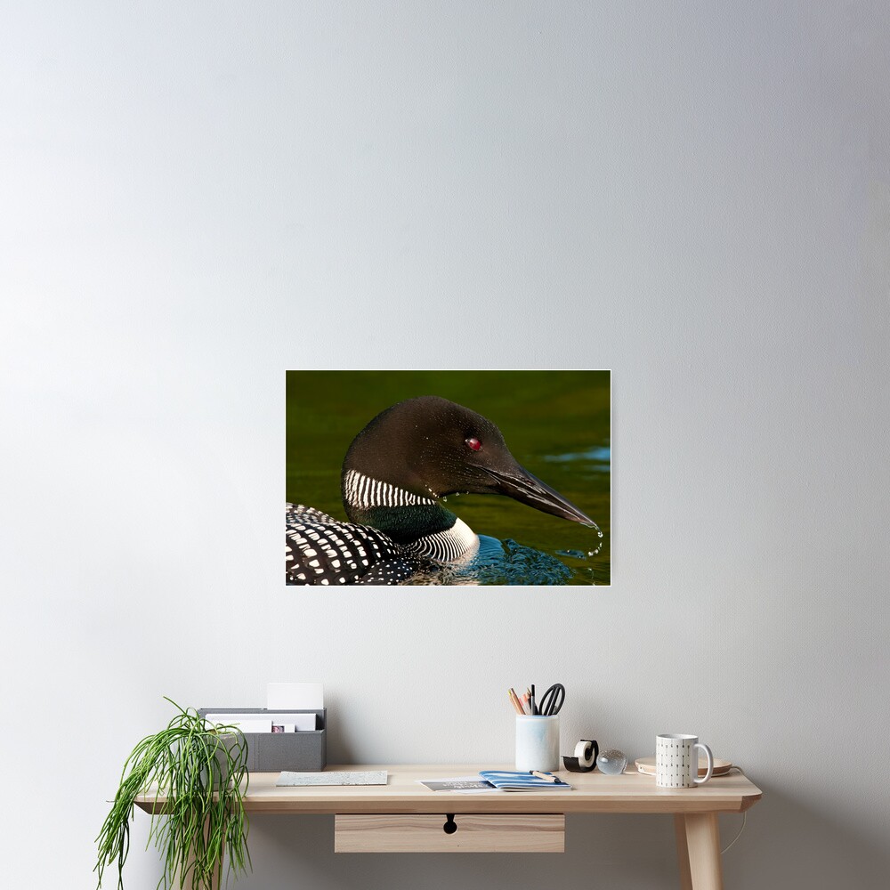 Item preview, Poster designed and sold by Loon-Images.