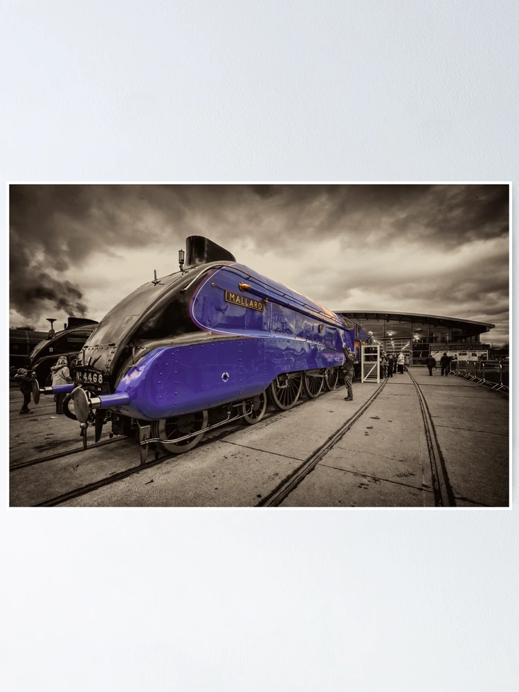 Thumbnail 1 of 3, Poster, Mallard at Shildon designed and sold by hawkie.