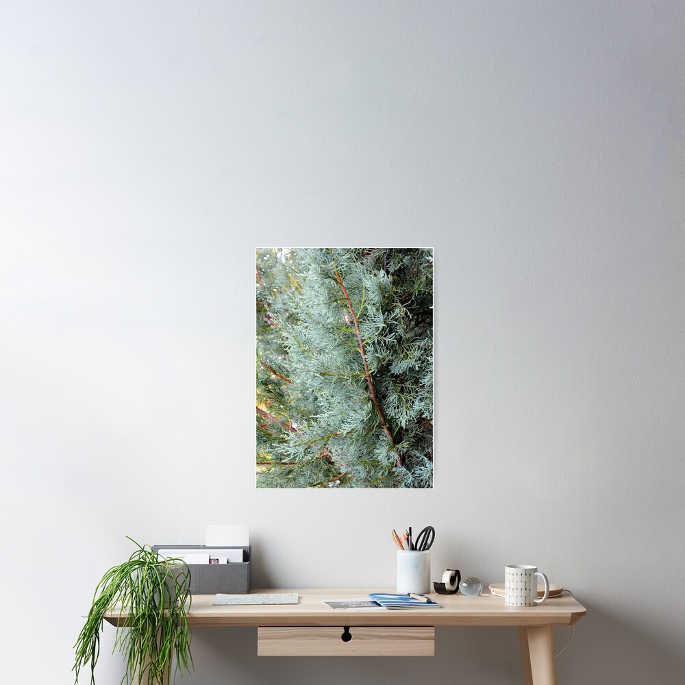 Item preview, Poster designed and sold by BattleMountain.