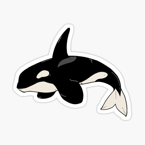 Item preview, Orca designed and sold by plantqueen.