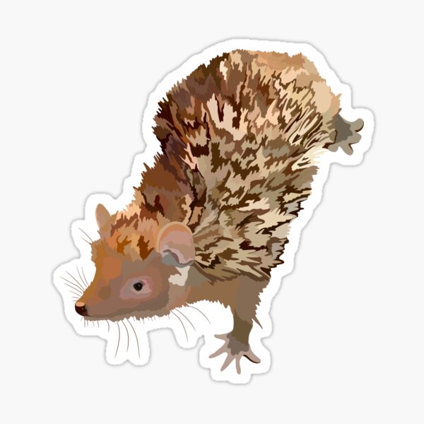 Aperçu de l'œuvre L comme Petit Tenrec, Illustration de Petit Tenrec – Illustration unique de petits mammifères et conception de la faune de Madagascar créée et vendue par PrettylittlepastelUk.