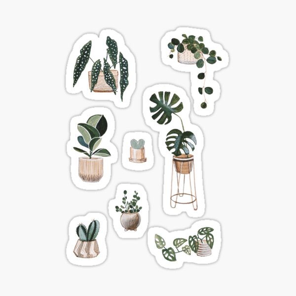 Aperçu de l'œuvre Plantes d'intérieur créée et vendue par missfleur.