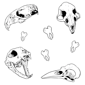Artwork thumbnail, Bone Collector Set by gothmochi