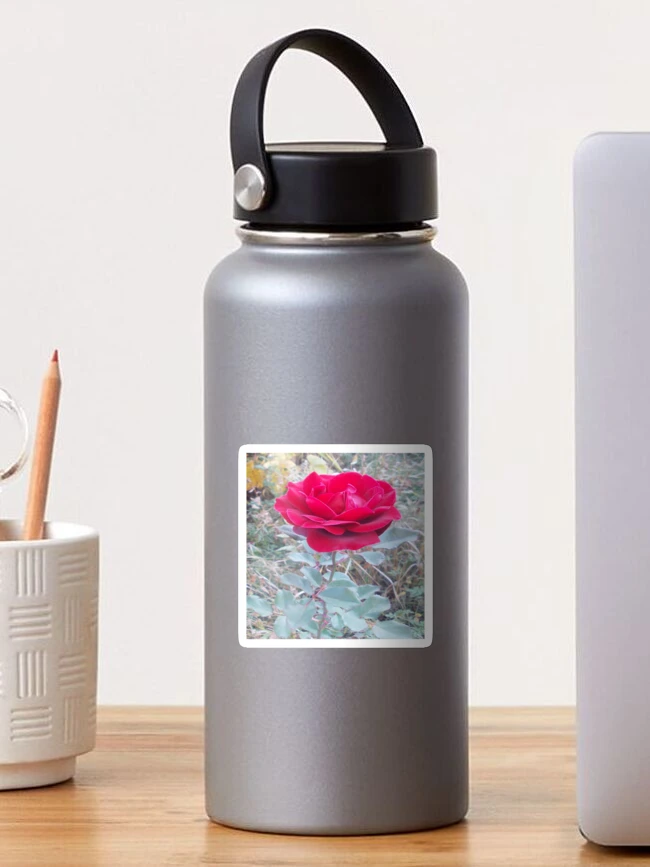 Thumbnail 1 of 3, Sticker, Rose designed and sold by IVEKDESIGN.